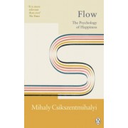 Mihaly Csikszentmihalyi: Flow. The Psychology of Happiness