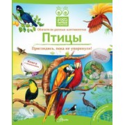 Владимир Бабенко: Птицы