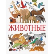 Иллария Барсотти: Животные