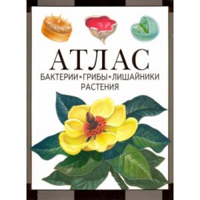 Иван Черепанов: Атлас. Бактерии, грибы, лишайники, растения Иван Черепанов: Атлас. Бактерии, грибы, лишайники, растения