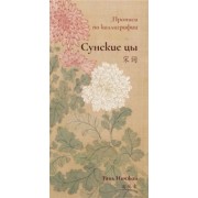 Тянь Инчжан: Сунские цы. Прописи по каллиграфии