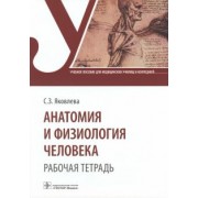 Светлана Яковлева: Анатомия и физиология человека. Рабочая тетрадь