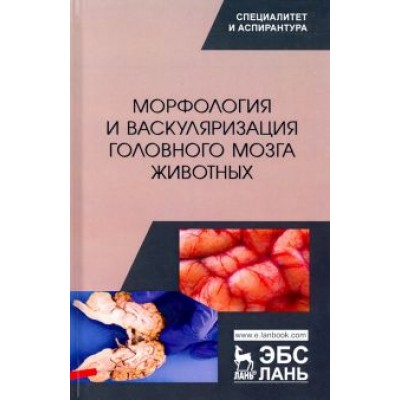 Прусаков, Зеленевский, Щипакин: Морфология и васкуляризация головного мозга животных. Монография Прусаков, Зеленевский, Щипакин: Морфология и васкуляризация головного мозга животных. Монография