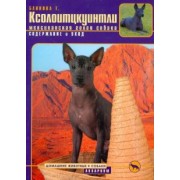 Татьяна Блинова: Ксолоитцкуинтли (Мексиканская голая собака). Содержание и уход
