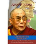 Далай-Лама: Совершенная мудрость. Комментарий к девятой главе "Бодхичарья-аватары" Шантидевы