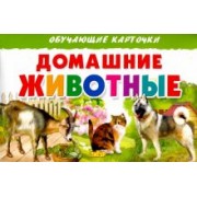 Карточки. Домашние животные