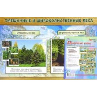 Комплект плакатов. Природные зоны. Смешанные и широколиственные леса Комплект плакатов. Природные зоны. Смешанные и широколиственные леса