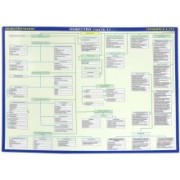 ЕГЭ Общество. Обществознание. Двухсторонняя. Часть 1-2