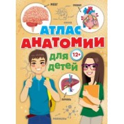 Александр Швырев: Атлас анатомии для детей