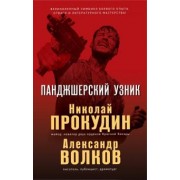 Прокудин, Волков: Панджшерский узник