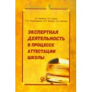 Шамова, Худин, Подчалимова: Экспертная деятельность в процессе аттестации школы
