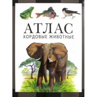 Козлов, Дольник: Хордовые животные. Атлас Козлов, Дольник: Хордовые животные. Атлас