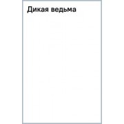 Рейчел Гриффин: Дикая ведьма