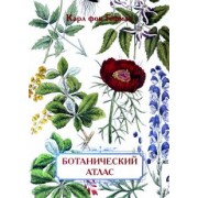 Карл Гофман: Ботанический атлас. Карл фон Гофман