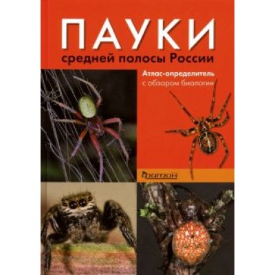 Сейфулина, Карцев: Пауки средней полосы России. Атлас - определитель с обзором биологии Сейфулина, Карцев: Пауки средней полосы России. Атлас - определитель с обзором биологии