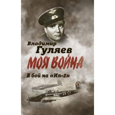 Владимир Гуляев: В бой на «Ил-2». Нас называли «черной смертью» Владимир Гуляев: В бой на «Ил-2». Нас называли «черной смертью»