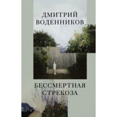 Дмитрий Воденников: Бессмертная стрекоза Дмитрий Воденников: Бессмертная стрекоза