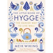 Meik Wiking: The Little Book of Hygge. The Danish Way to Live Well