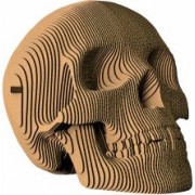 Череп Роджер