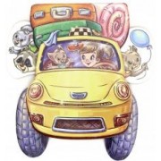 Ирина Солнышко: Лихое такси