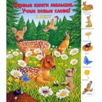 В лесу В лесу