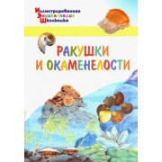 А. Орехов: Ракушки и окаменелости