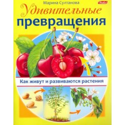 Марина Султанова: Удивительные превращения. Как живут и развиваются растения Марина Султанова: Удивительные превращения. Как живут и развиваются растения