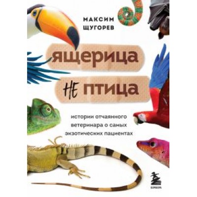 Максим Щугорев: Ящерица не птица. Истории отчаянного ветеринара о самых экзотических пациентах Максим Щугорев: Ящерица не птица. Истории отчаянного ветеринара о самых экзотических пациентах