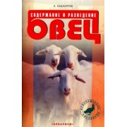 Андрей Кашкаров: Содержание и разведение овец