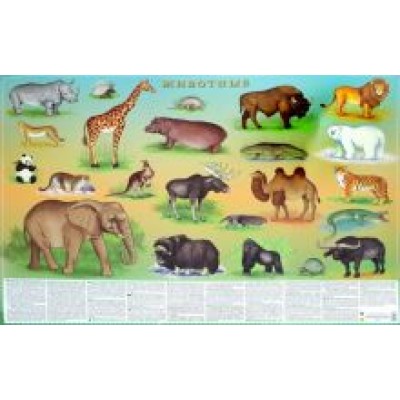 Животные. Настольное издание Животные. Настольное издание