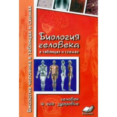 Наталия Бодрова: Биология человека в таблицах и схемах. Человек и его здоровье Наталия Бодрова: Биология человека в таблицах и схемах. Человек и его здоровье