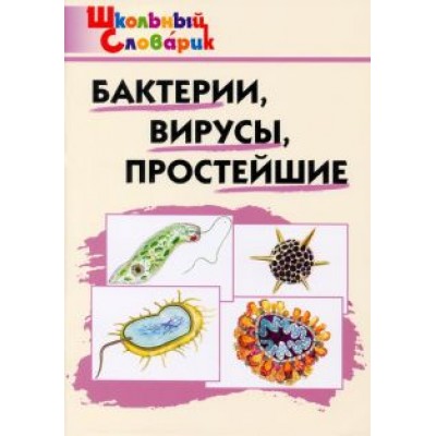 Бактерии, вирусы, простейшие Бактерии, вирусы, простейшие