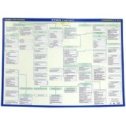 ЕГЭ Право. Обществознание. Двустороний плакат. Часть 1-2