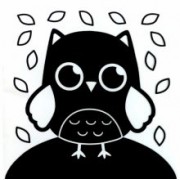 Книжка-бортик развивающая по методике Г. Домана Я изучаю животных