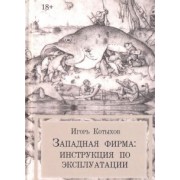 Игорь Котыхов: Западная фирма