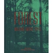 Matt Collins: Forest. Walking among trees