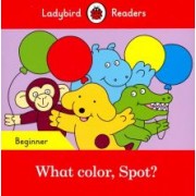 Eric Hill: What color, Spot? (PB) + downloadable audio