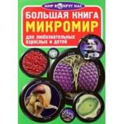 Олег Завязкин: Микромир