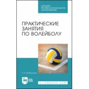 Александр Безбородов: Практические занятия по волейболу. Учебное пособие для СПО