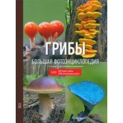 Николай Кашпор: Грибы. Большая фотоэнциклопедия
