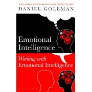 Daniel Goleman: Emotional Intelligence