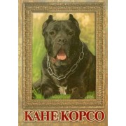 Екатерина Шлычкова: Кане Корсо. Фотоальбом