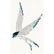 Aristotle: One Swallow Does Not Make a Summer