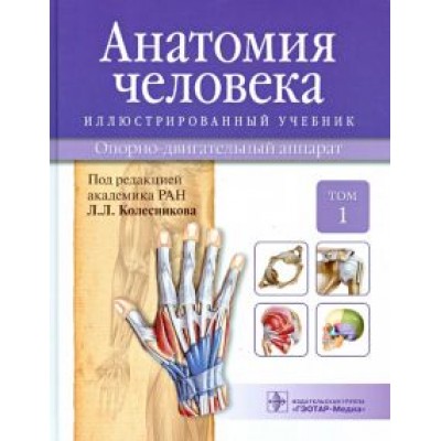 Гайворонский, Ничипорук, Колесников: Анатомия человека. Иллюстрированный учебник. В 3-х томах. Том 1. Опорно-двигательный аппарат Гайворонский, Ничипорук, Колесников: Анатомия человека. Иллюстрированный учебник. В 3-х томах. Том 1. Опорно-двигательный аппарат