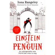 Iona Rangeley: Einstein the Penguin