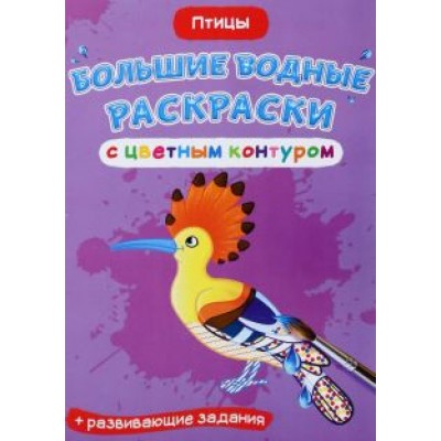 Птицы Птицы