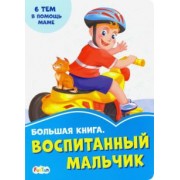 Ирина Солнышко: Большая книга. Воспитанный мальчик