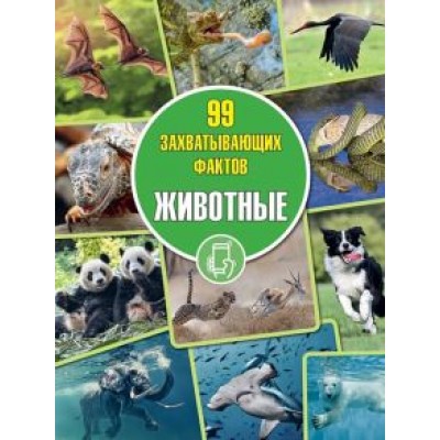 Дмитрий Кошевар: Животные Дмитрий Кошевар: Животные