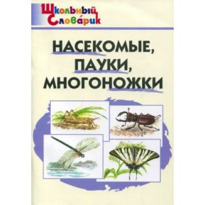 Насекомые, пауки, многоножки. Начальная школа Насекомые, пауки, многоножки. Начальная школа