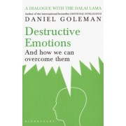 Daniel Goleman: Destructive Emotions. And how we can overcome them